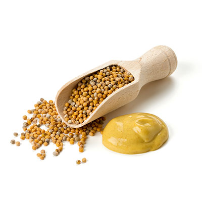 CondimentsProducts - _0002_Mustard Pic